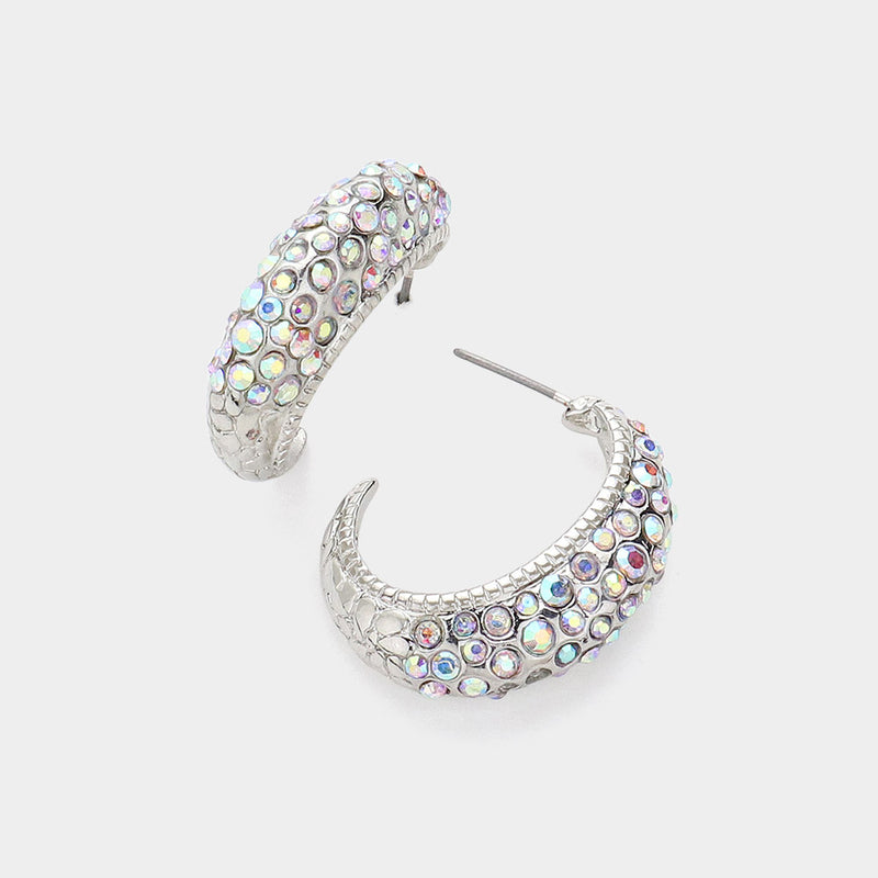 Silver Accented Hoops